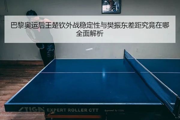巴黎奥运后王楚钦外战稳定性与樊振东差距究竟在哪全面解析